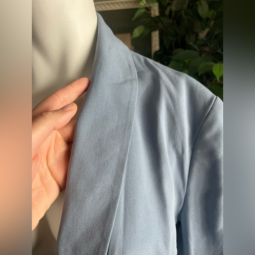 Babaton Blazer - Picture 4 of 6